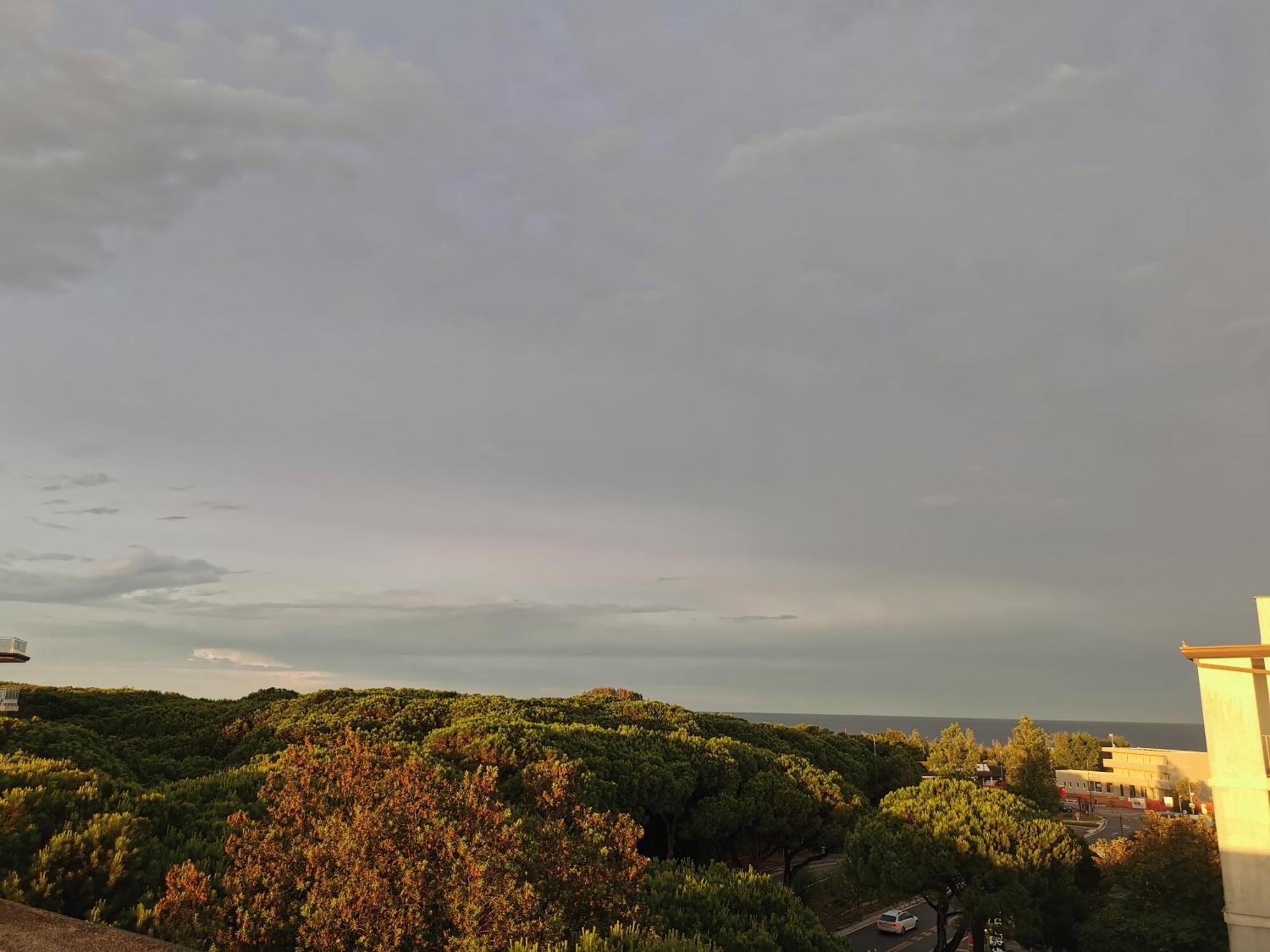 Hotel Pine Beach Розолина-Маре Экстерьер фото