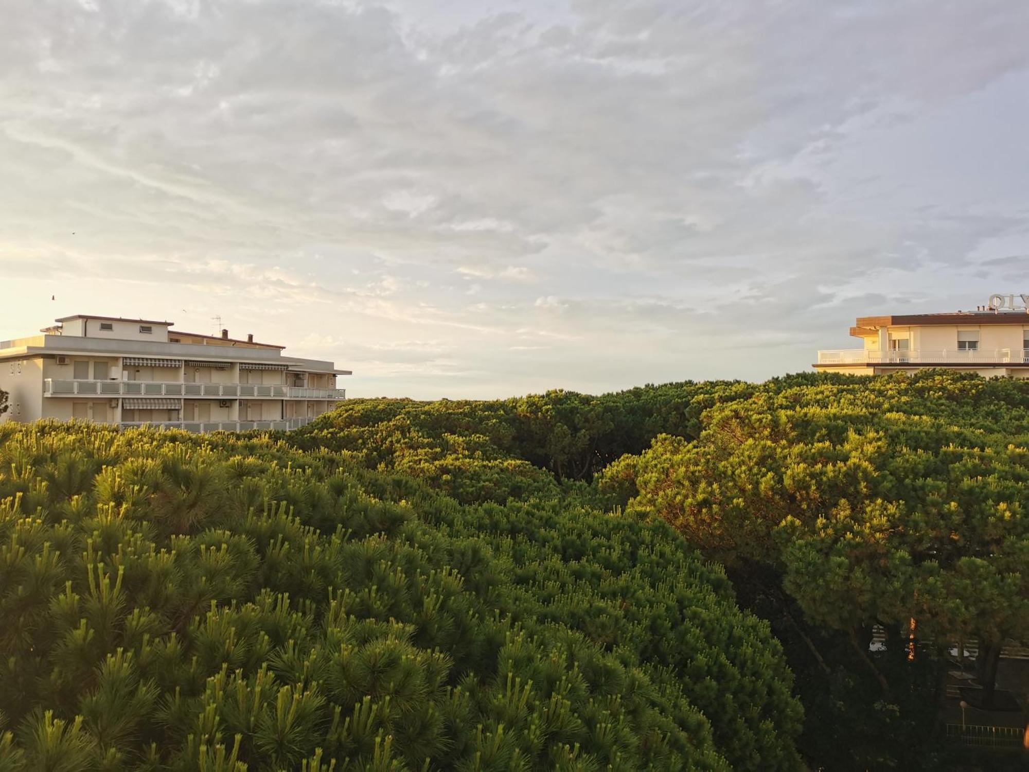 Hotel Pine Beach Розолина-Маре Экстерьер фото