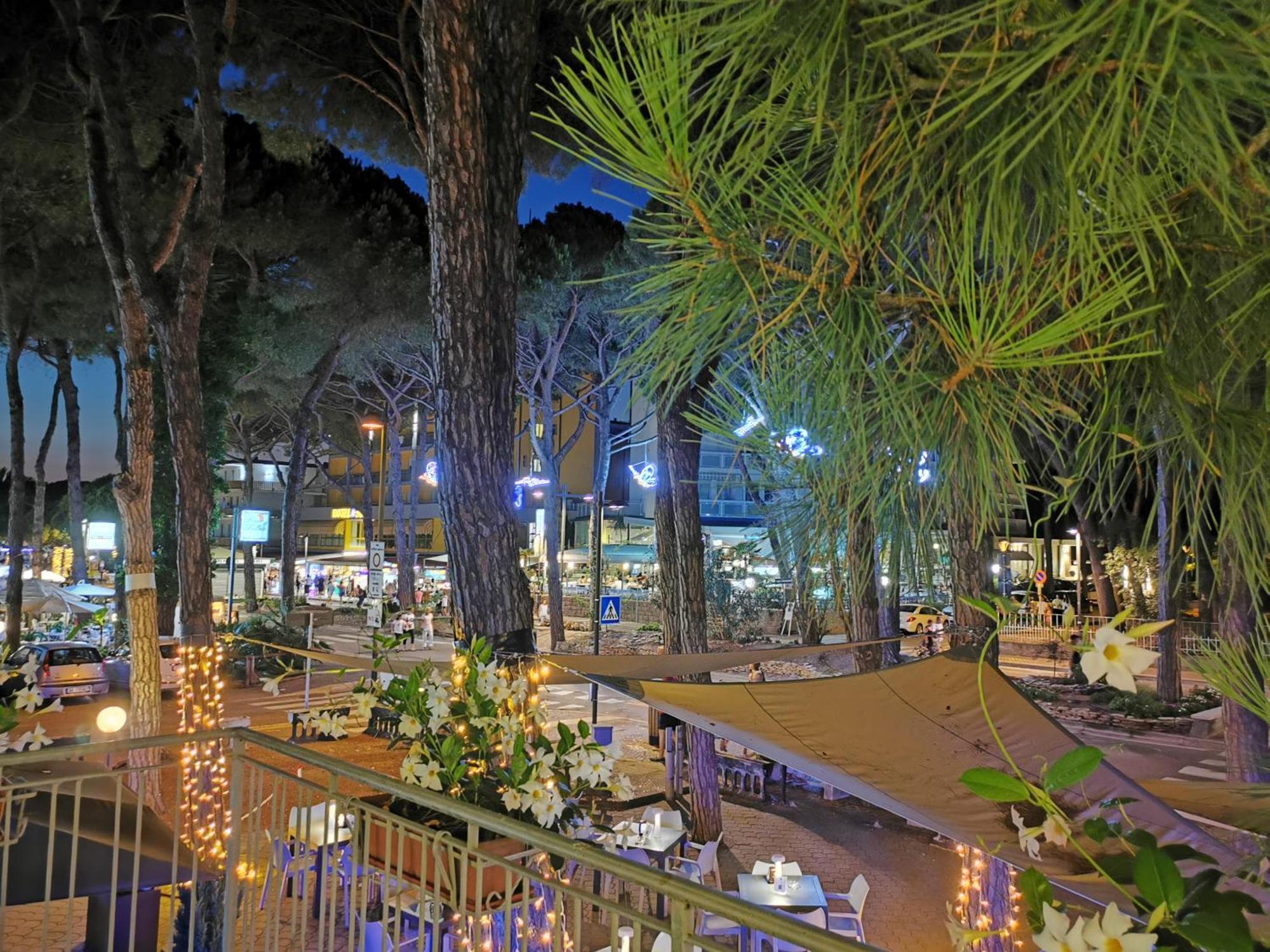 Hotel Pine Beach Розолина-Маре Экстерьер фото
